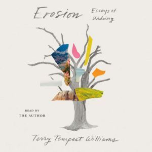 Erosion Essays of Undoing, Terry Tempest Williams