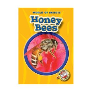 Honey Bees, Colleen Sexton