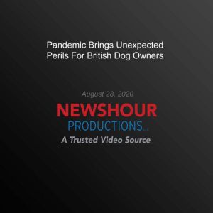 Pandemic Brings Unexpected Perils For..., PBS NewsHour