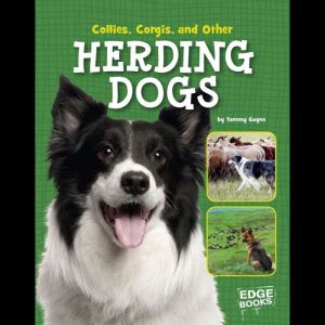 Collies, Corgies, and Other Herding D..., Tammy Gagne