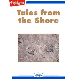 Tales from the Shore, Lori Johnson