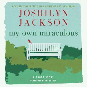 My Own Miraculous, Joshilyn Jackson