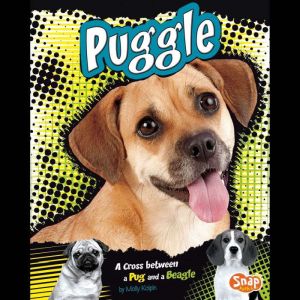 Puggle: A Cross Between a Pug and a Beagle