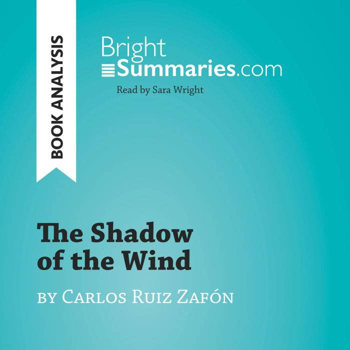 The Shadow of the Wind by Carlos Ruiz..., Bright Summaries