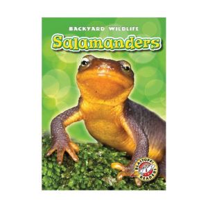 Salamanders, Megan BorgertSpaniol