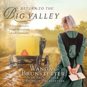 Return to the Big Valley, Wanda E Brunstetter