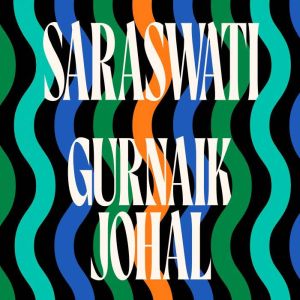 Saraswati: An Observer Best Debut Novel 2025