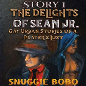 Story 1: The Delights of Sean Jr.: Gay Urban Stories of a Player's Lust