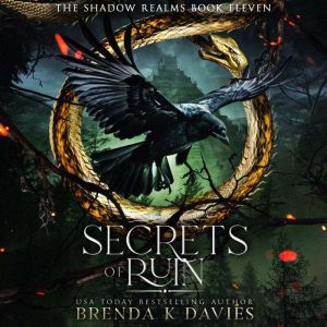 Secrets of Ruin, Brenda K Davies