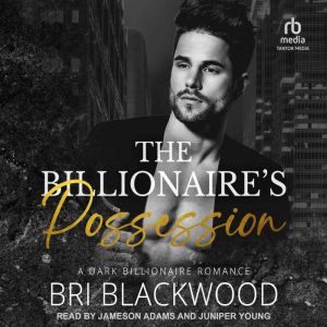 The Billionaires Possession, Bri Blackwood
