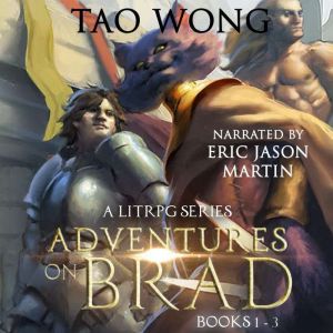 Adventures on Brad Books 13, Tao Wong