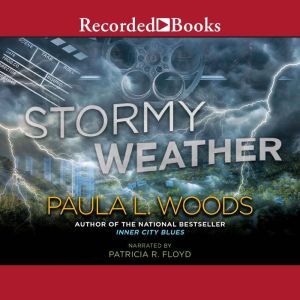 Stormy Weather, Paula Woods