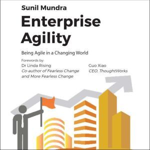 Enterprise Agility, Sunil Mundra