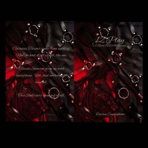 12 Play A Black BDSM Romance, Darlene Cunningham