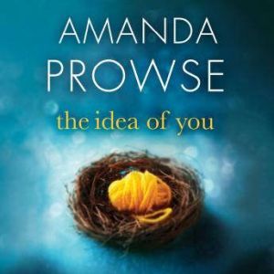 The Idea of You, Amanda Prowse
