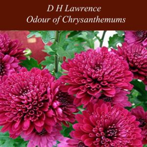 Odour of Chrysanthemums, D H Lawrence