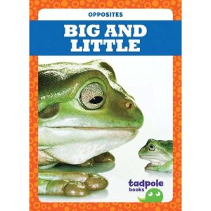 Big and Little, Erica Donner