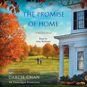 The Promise of Home, Darcie Chan