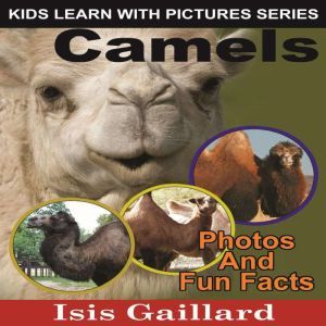 Camels, Isis Gaillard