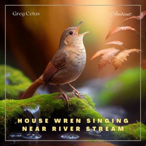 House Wren Singing Near River Stream, Greg Cetus