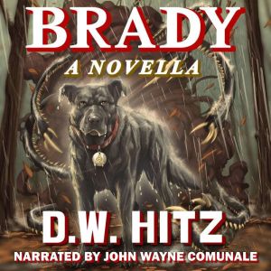 Brady, D.W. Hitz