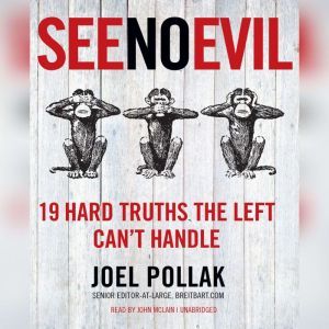 See No Evil, Joel B. Pollak
