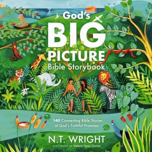 Gods Big Picture Bible Storybook, N. T. Wright