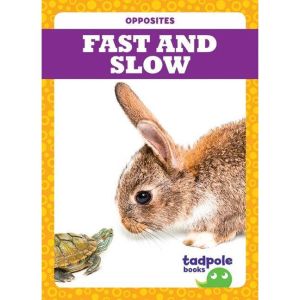 Fast and Slow, Erica Donner