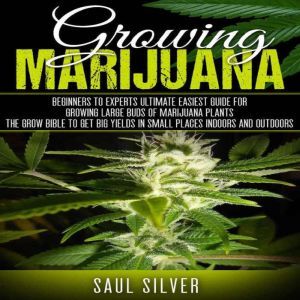 Marijuana : Growing Marijuana Beginners To Experts Ultimate Easiest Guide For Growing Large Buds Of Marijuana Plants.The Grow Bible To Get Big Yields In Small Places Indoors And Outdoors, Saul Silver
