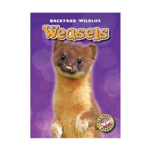 Weasels, Megan BorgertSpaniol