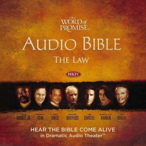 Word of Promise Audio Bible  New Kin..., Thomas Nelson