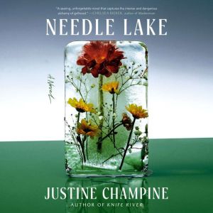 Needle Lake