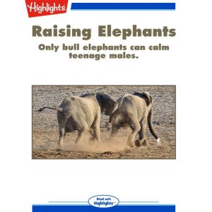 Raising Elephants, Jennifer Berry