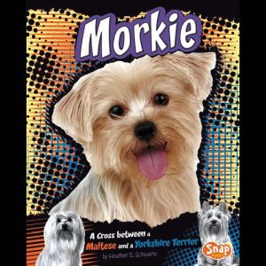 Morkie, Heather Schwartz