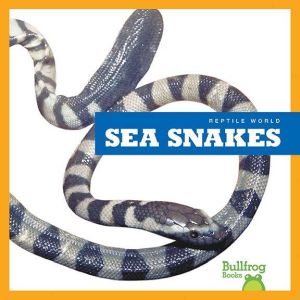Sea Snakes, Vanessa Black