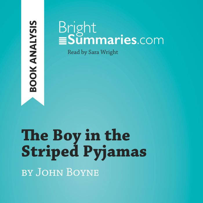 The Boy in the Striped Pyjamas by Joh..., Bright Summaries