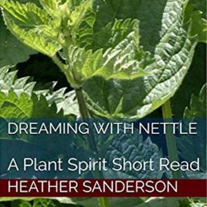 Dreaming with Nettle, Heather Sanderson
