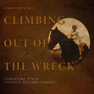 Climbing Out of the Wreck, Christine Stein