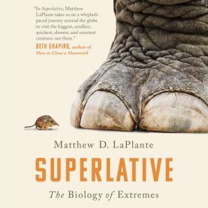 Superlative, Matthew D. LaPlante