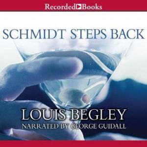 Schmidt Steps Back, Louis Begley