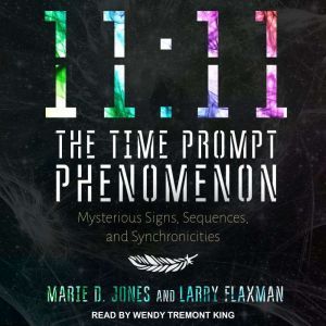 1111 The Time Prompt Phenomenon, Larry Flaxman