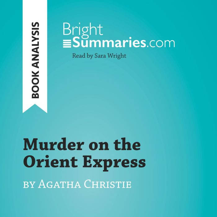 Murder on the Orient Express by Agath..., Bright Summaries