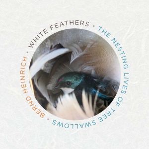 White Feathers: The Nesting Lives of Tree Swallows, Bernd Heinrich