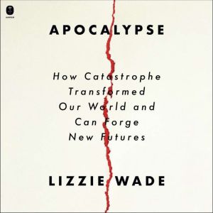 Apocalypse: How Catastrophe Transformed Our World and Can Forge New Futures