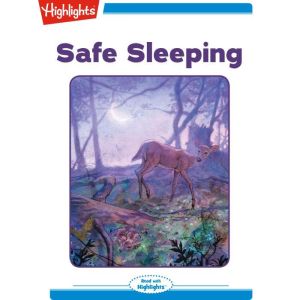Safe Sleeping, Jeanne Barrett Hargett