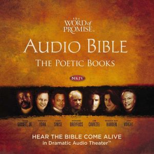 Word of Promise Audio Bible  New Kin..., Thomas Nelson