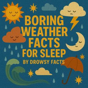 Boring Weather Facts for Sleep