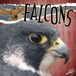 Falcons, Julie Lundgren