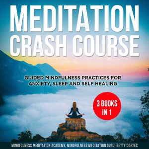 Meditation Crash Course  3 Books in ..., Mindfulness Meditation Academy