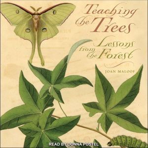 Teaching the Trees, Joan Maloof